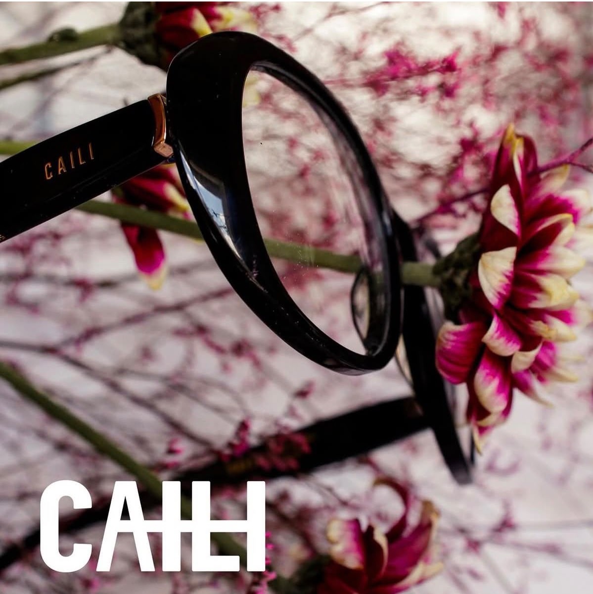 Caili — Ótica Bahath